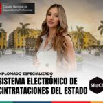 Diplomado en Sistema Electrónico de Contrataciones del Estado - SEACE